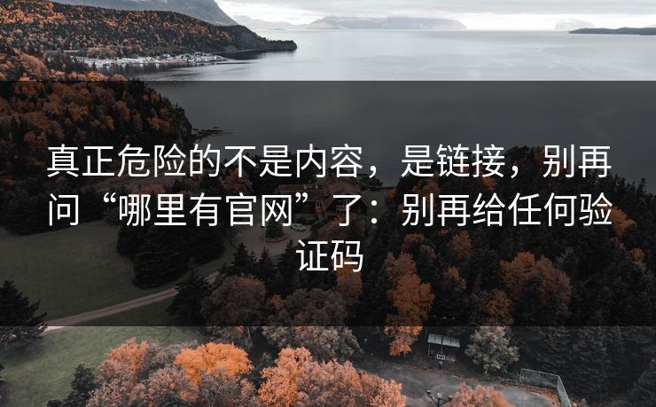真正危险的不是内容，是链接，别再问“哪里有官网”了：别再给任何验证码
