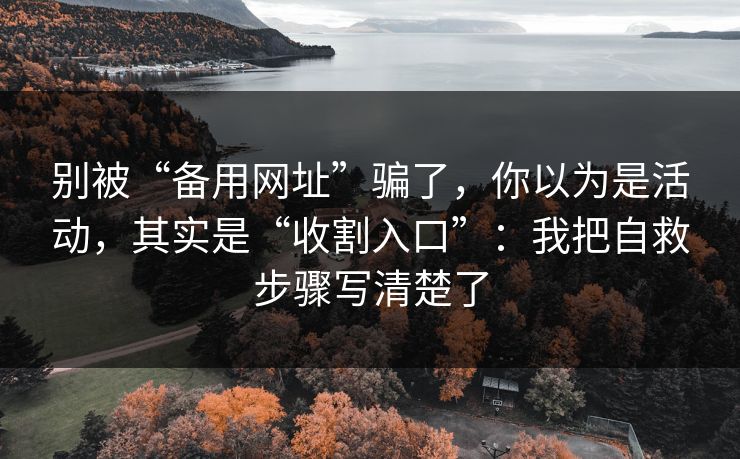 别被“备用网址”骗了，你以为是活动，其实是“收割入口”：我把自救步骤写清楚了