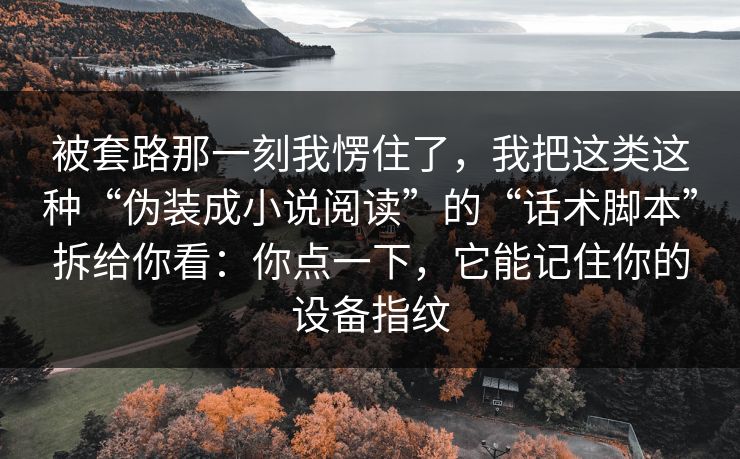 被套路那一刻我愣住了，我把这类这种“伪装成小说阅读”的“话术脚本”拆给你看：你点一下，它能记住你的设备指纹