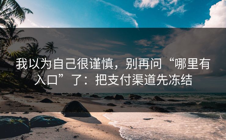我以为自己很谨慎，别再问“哪里有入口”了：把支付渠道先冻结