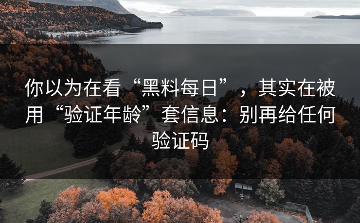 你以为在看“黑料每日”，其实在被用“验证年龄”套信息：别再给任何验证码