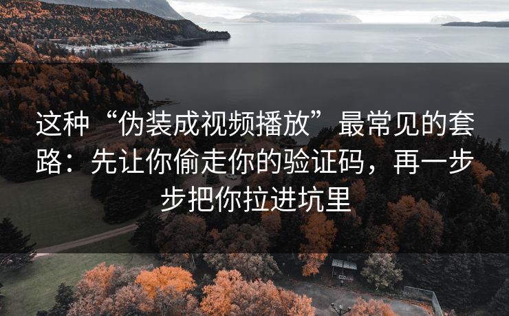 这种“伪装成视频播放”最常见的套路：先让你偷走你的验证码，再一步步把你拉进坑里