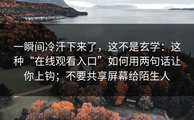 一瞬间冷汗下来了，这不是玄学：这种“在线观看入口”如何用两句话让你上钩；不要共享屏幕给陌生人